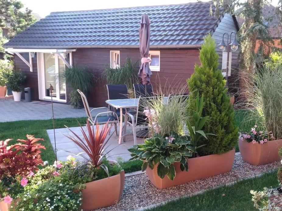 Gites Le P'Tit Paradis Du Ried Sundhouse Buitenkant foto